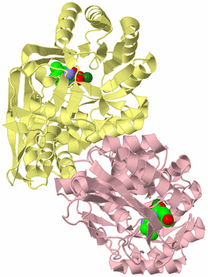 Image Biological Unit 10