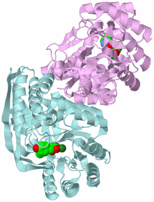 Image Biological Unit 11