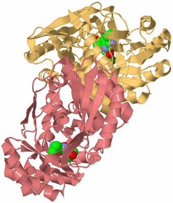 Image Biological Unit 12