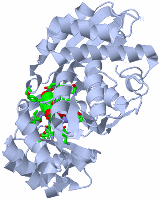 Image Biol. Unit 1 - sites