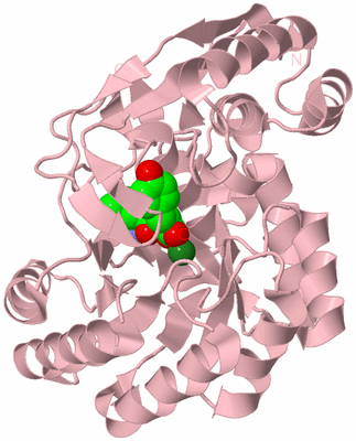 Image Biological Unit 3