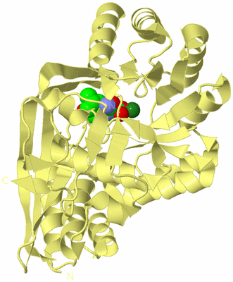 Image Biological Unit 4