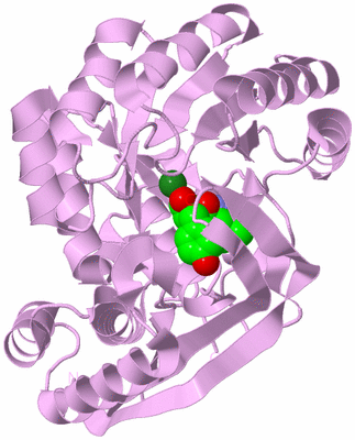 Image Biological Unit 5