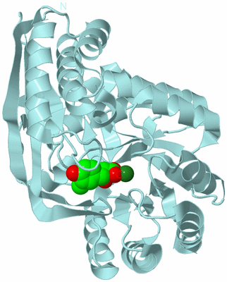 Image Biological Unit 6