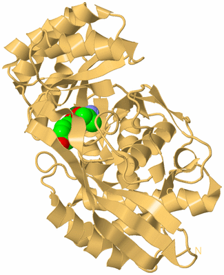 Image Biological Unit 7