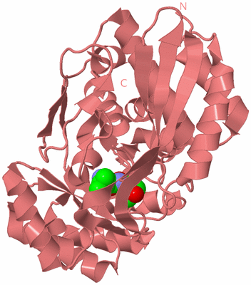 Image Biological Unit 8