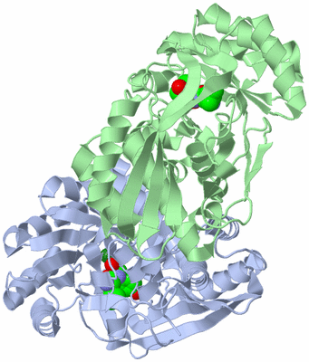 Image Biological Unit 9