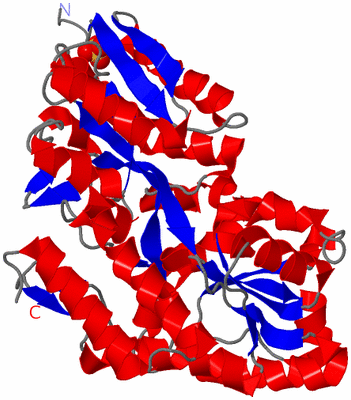 Image Asym./Biol. Unit