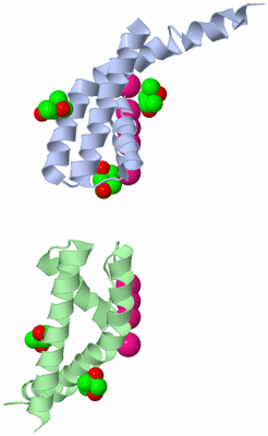 Image Asymmetric Unit