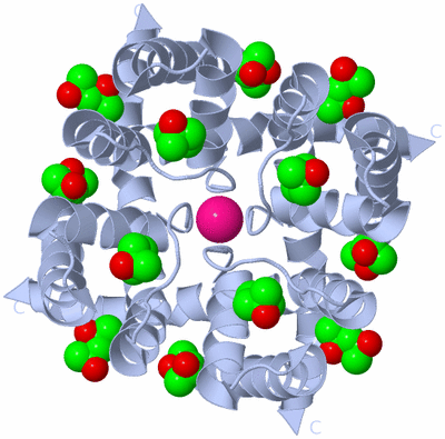 Image Biological Unit 1