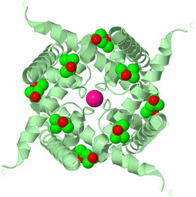 Image Biological Unit 2