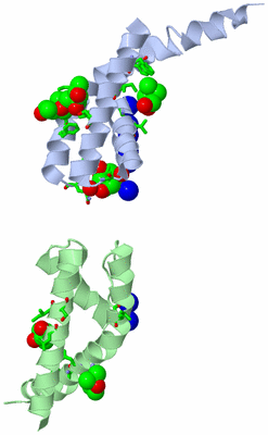 Image Asym. Unit - sites