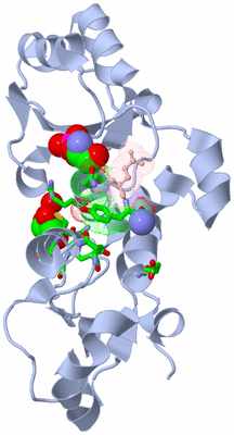 Image Biol. Unit 1 - sites