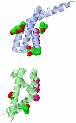 Image Asymmetric Unit