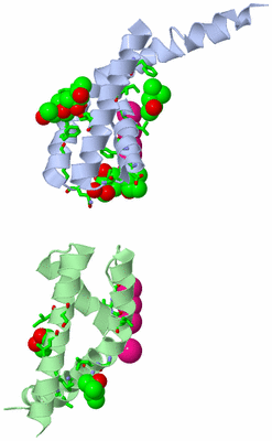 Image Asym. Unit - sites