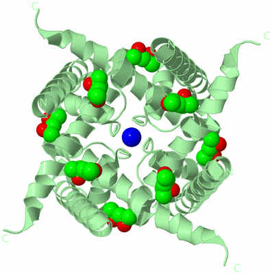 Image Biological Unit 2
