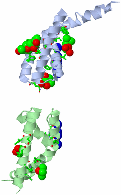 Image Asym. Unit - sites