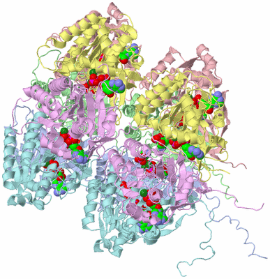 Image Asym./Biol. Unit