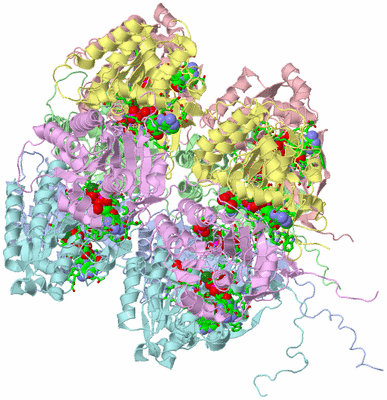 Image Asym./Biol. Unit - sites