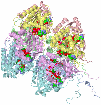 Image Asym./Biol. Unit