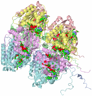 Image Asym./Biol. Unit - sites