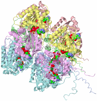 Image Asym./Biol. Unit