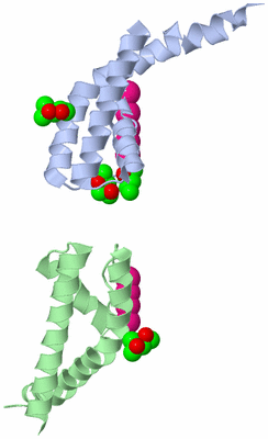 Image Asymmetric Unit