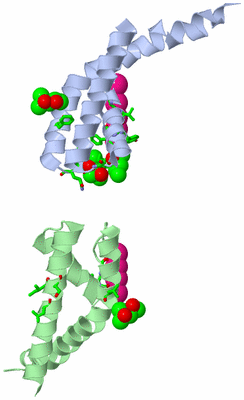 Image Asym. Unit - sites