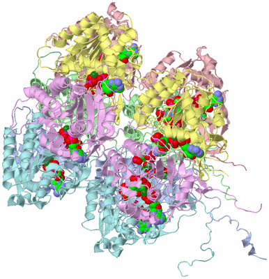 Image Asym./Biol. Unit