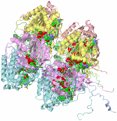 Image Asym./Biol. Unit - sites