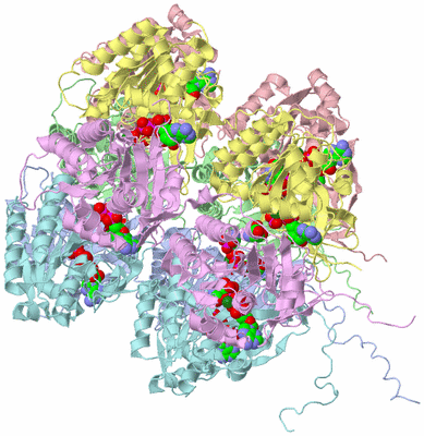 Image Asym./Biol. Unit