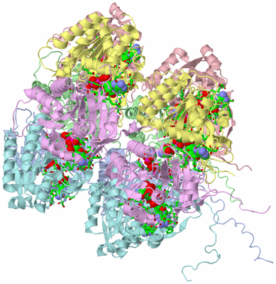 Image Asym./Biol. Unit - sites