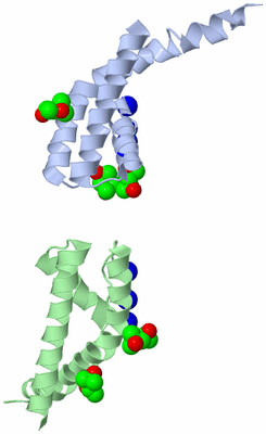 Image Asymmetric Unit