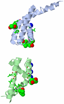Image Asym. Unit - sites
