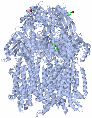 Image Biol. Unit 1 - sites