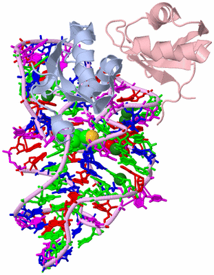 Image Biological Unit 1