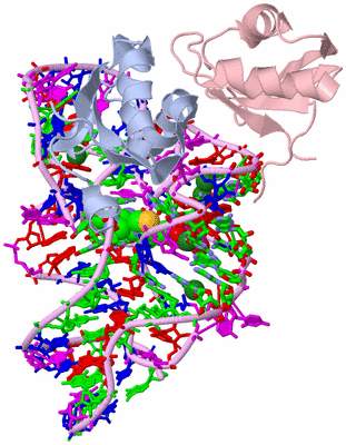 Image Biol. Unit 1 - sites