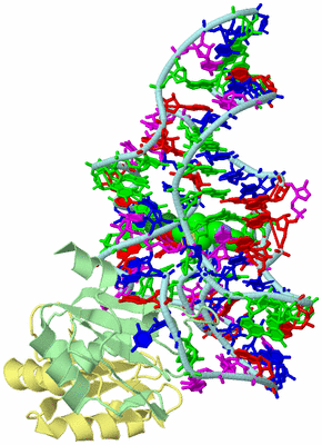 Image Biological Unit 2