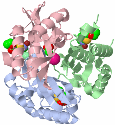 Image Asym./Biol. Unit