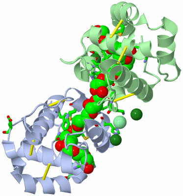 Image Biol. Unit 1 - sites