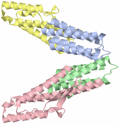 Image Asymmetric Unit