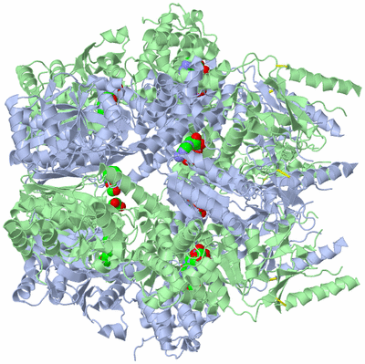 Image Biological Unit 1