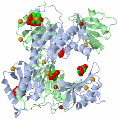 Image Biological Unit 4