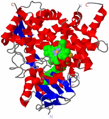 Image Asym./Biol. Unit