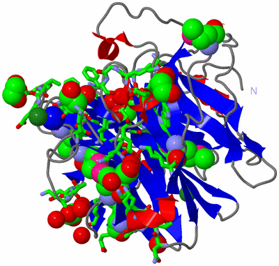 Image Asym./Biol. Unit - sites