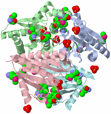 Image Biological Unit 1