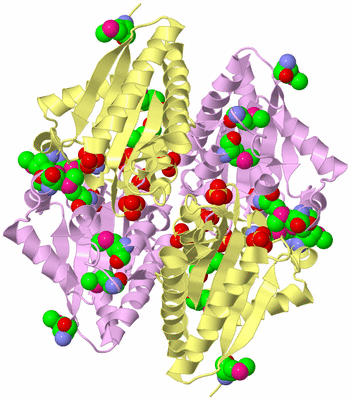 Image Biological Unit 2