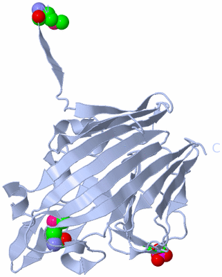 Image Biol. Unit 1 - sites