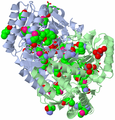 Image Biol. Unit 1 - sites