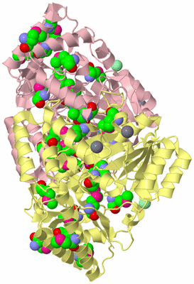 Image Biological Unit 2